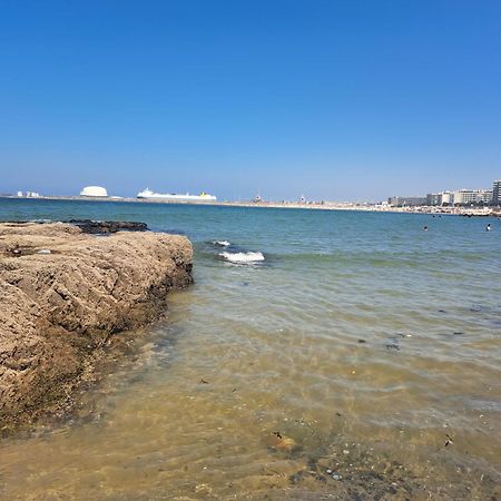 Matosinhos Relax And Fun By Portoproperties4You Ngoại thất bức ảnh